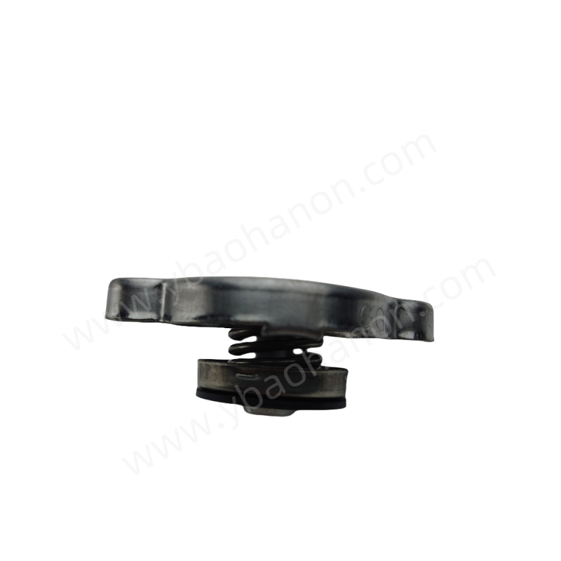 25330-17000 Auto Parts Radiator Caps